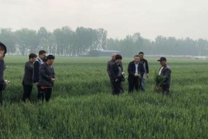 农业补贴取消了？2025年农业补贴将这样调整，补贴倾向这类人