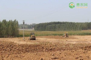 2025农村土地补贴每亩多少？哪些情况没有补贴？