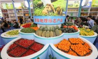 宁波德涛农副产品有限公司